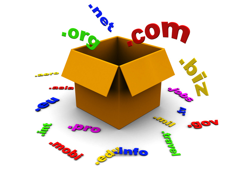 Domain Name Registration